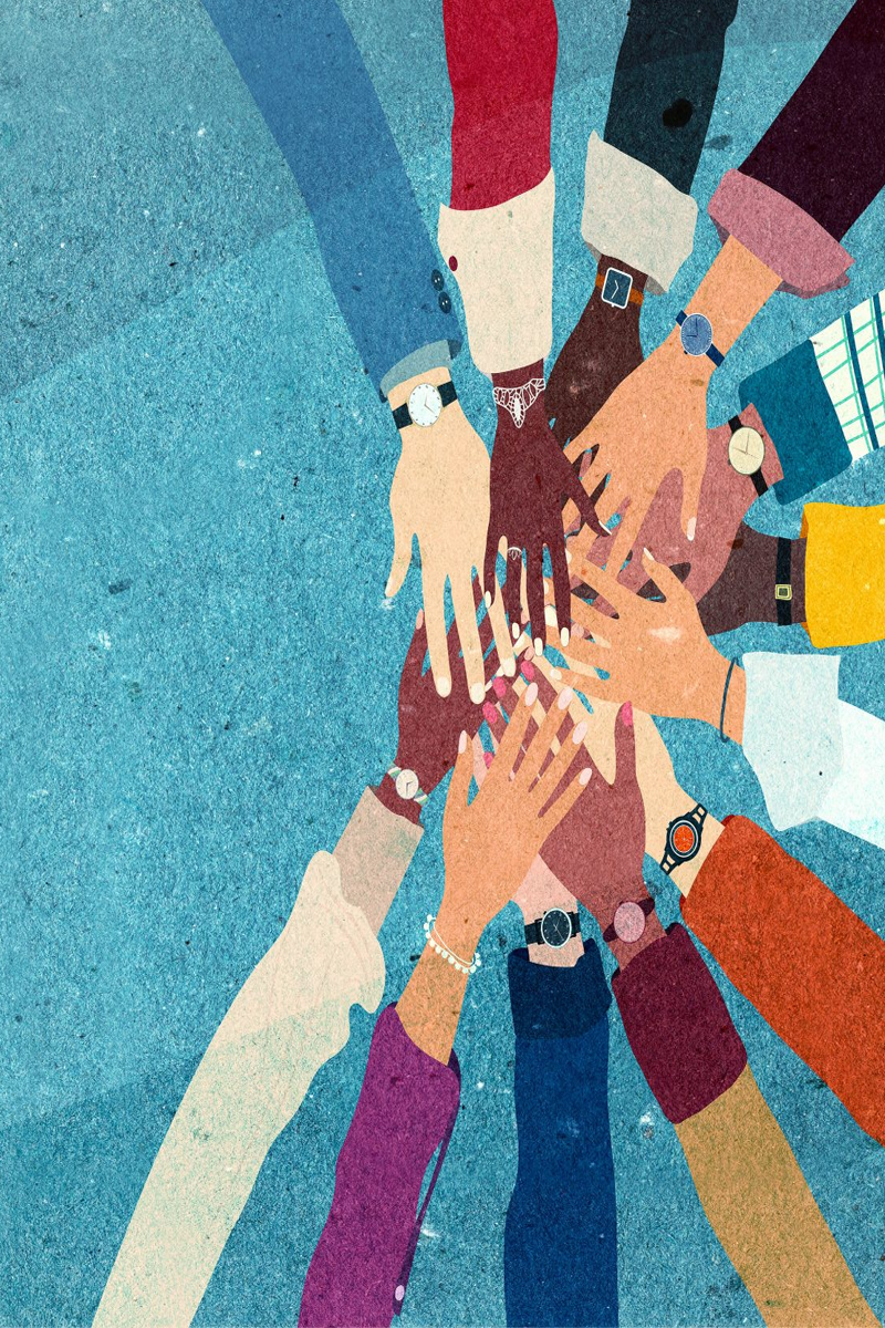 What to Expect During the Partnership